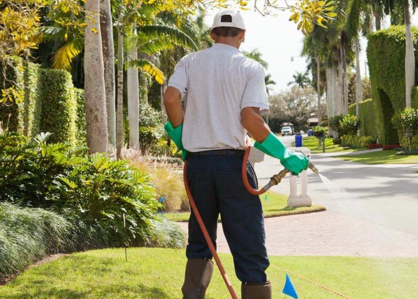 About Harwinton CT Pest Control